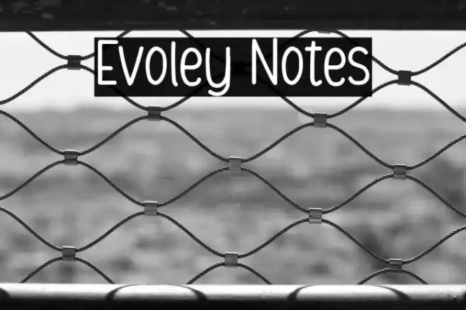 Evoley Notes Font examples