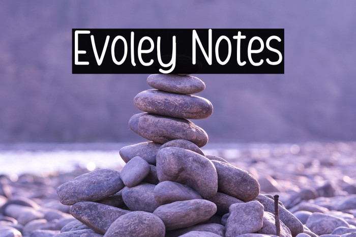 Evoley Notes Example 3