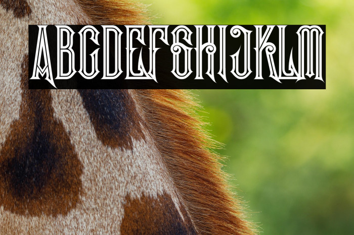 Evolve Inline Example 1