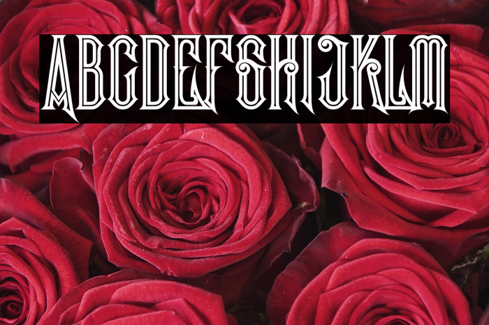 Evolve Inline Example 2