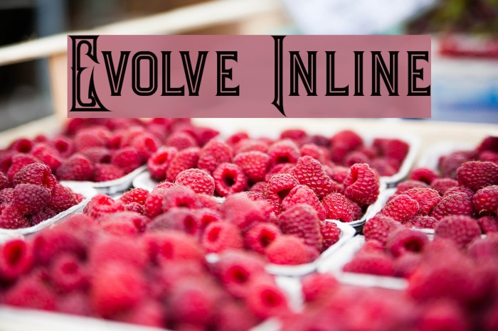 Evolve Inline Font examples