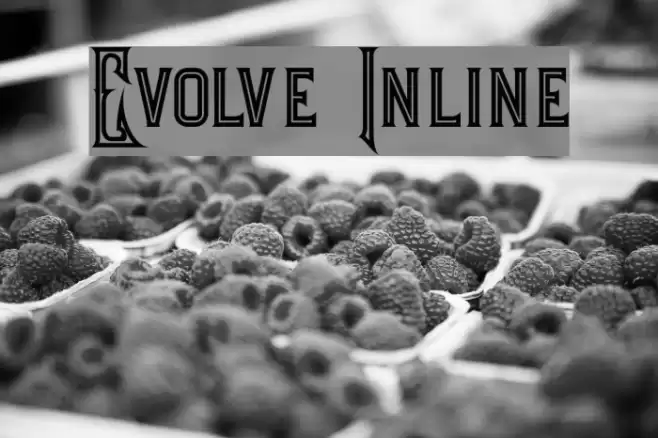 Evolve Inline Font examples