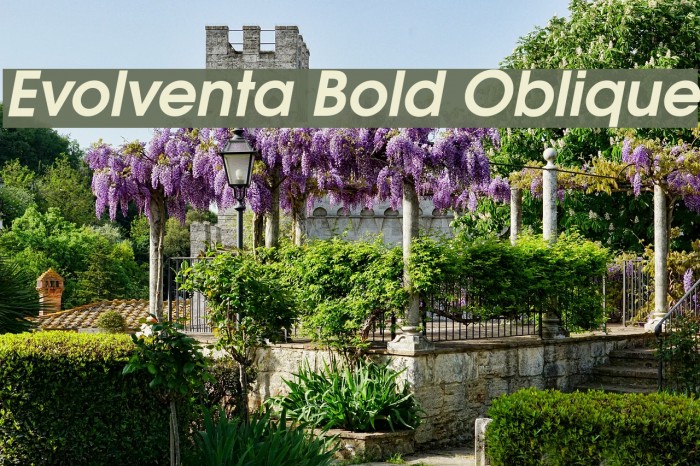 Evolventa Bold Oblique Font examples