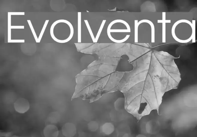 Evolventa Font examples
