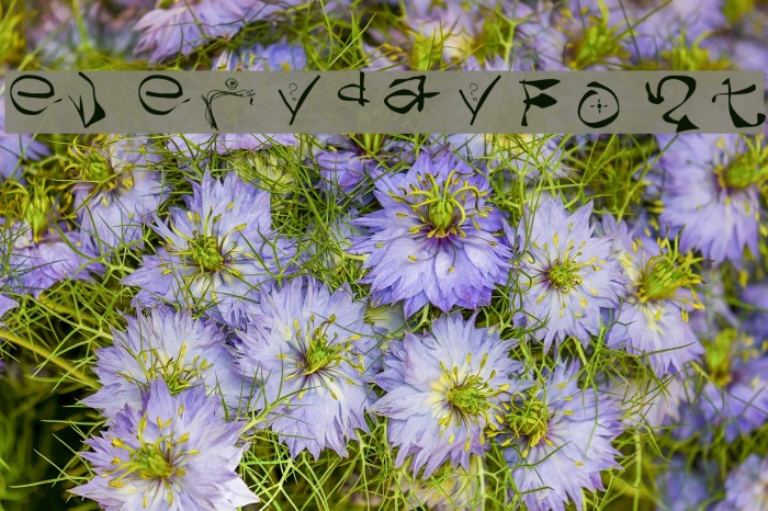 everydayFont Example 2