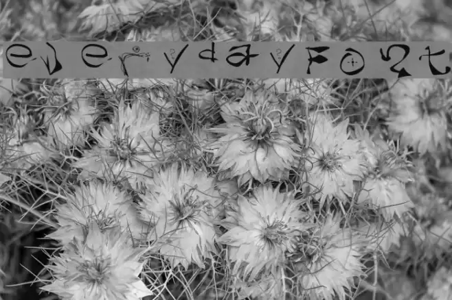 everydayFont Font examples