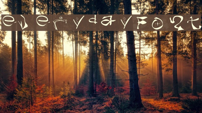 everydayFont Example 3