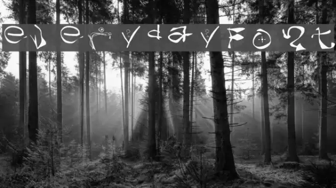 everydayFont Font examples