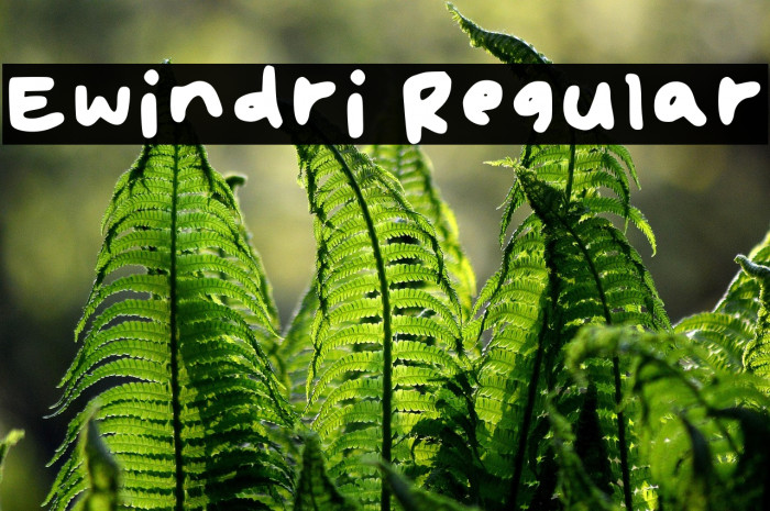 Ewindri Regular Example 3