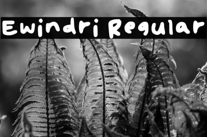 Ewindri Regular Example 3