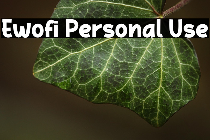 Ewofi Personal Use Example 1