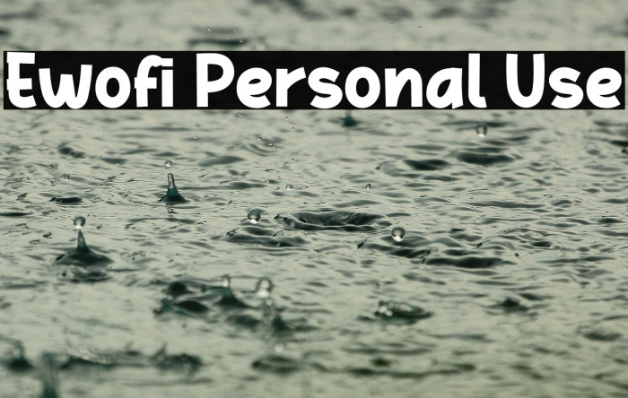 Ewofi Personal Use Example 2