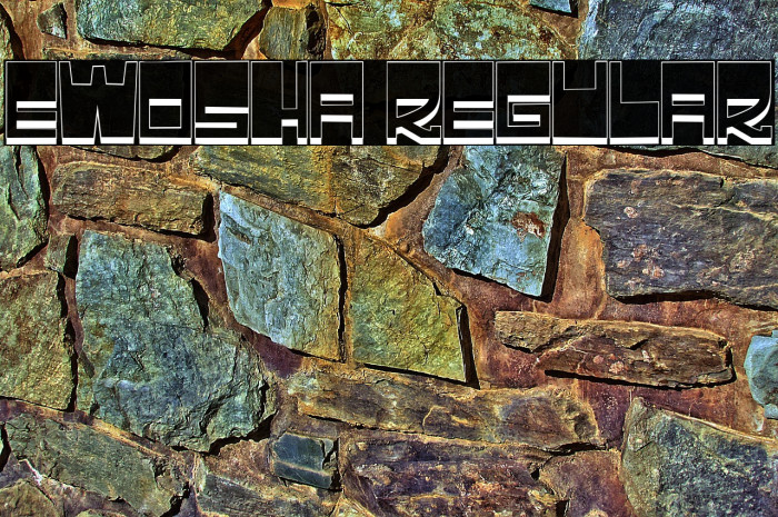 Ewosha Regular Example 1