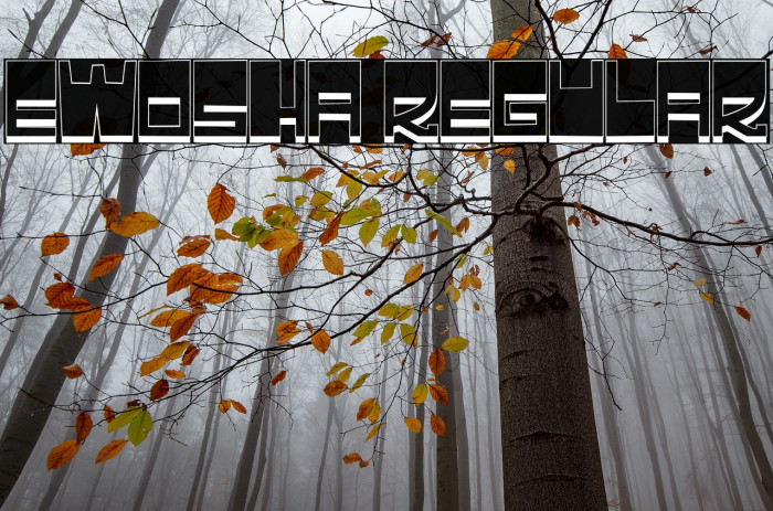 Ewosha Regular Example 2