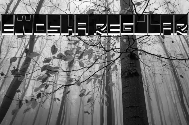 Ewosha Regular 字体 examples