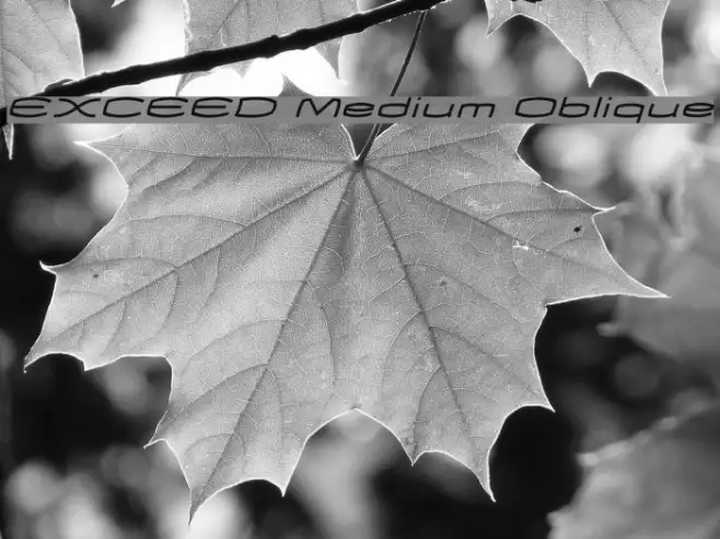 EXCEED Medium Oblique Example 3