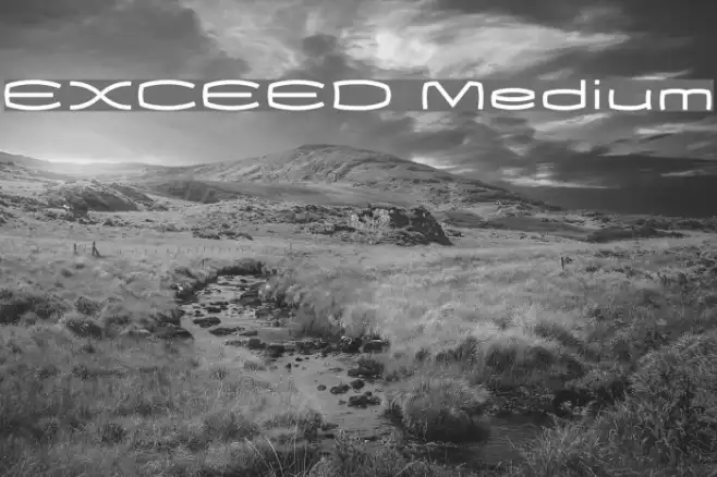 EXCEED Medium Example 3