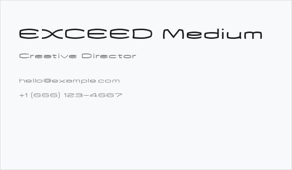 EXCEED Medium Business Card