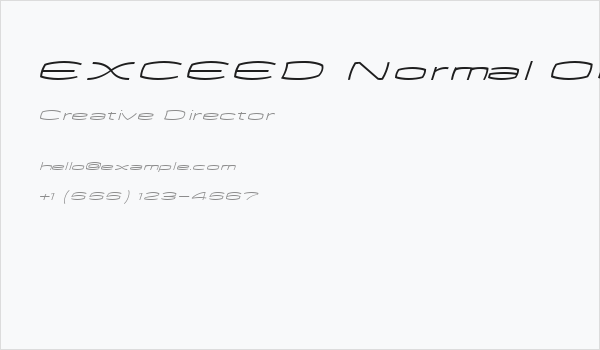 EXCEED Normal Oblique Business Card