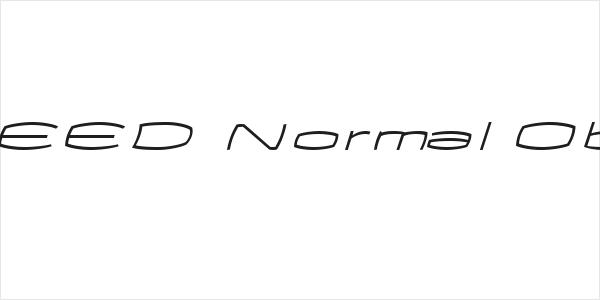 EXCEED Normal Oblique Logo