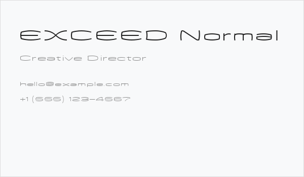 EXCEED Normal Business Card