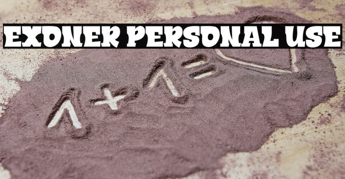 EXONER PERSONAL USE Example 1