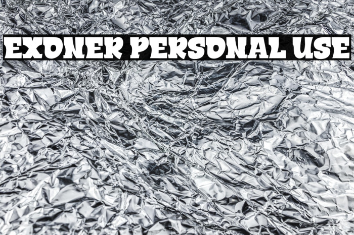 EXONER PERSONAL USE Example 2