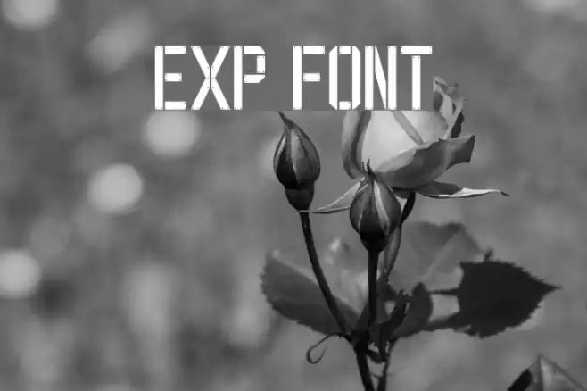 EXP FONT Font examples