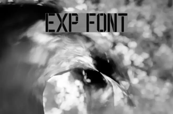 EXP FONT Font examples