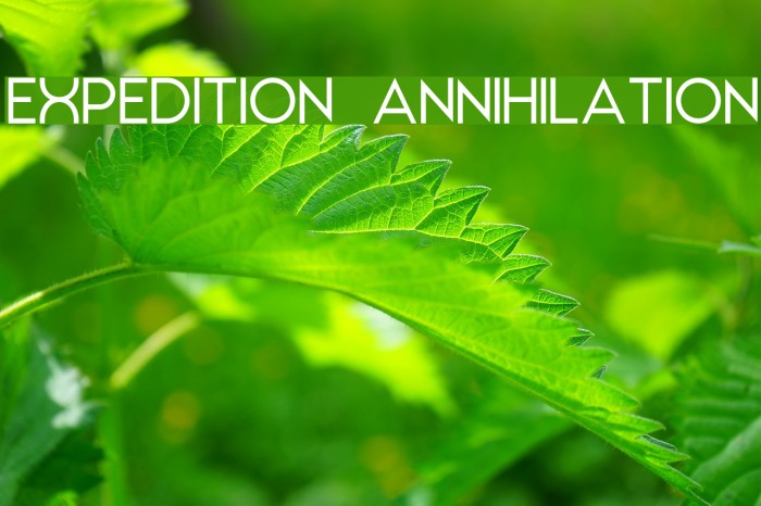 EXPEDITION ANNIHILATION Example 2