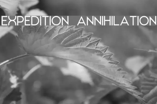 EXPEDITION ANNIHILATION Example 2