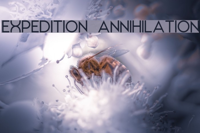 EXPEDITION ANNIHILATION Example 3