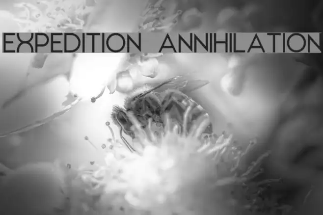 EXPEDITION ANNIHILATION Example 3