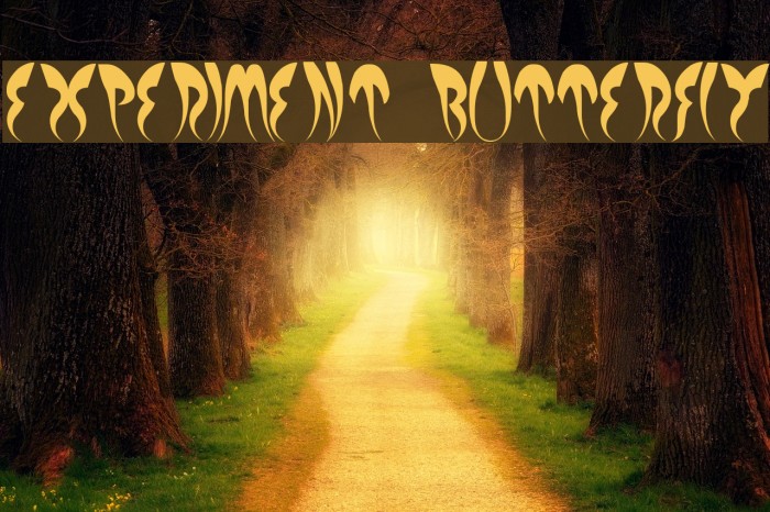EXPERIMENT BUTTERFLY Font examples