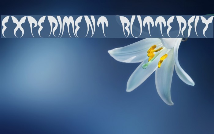 EXPERIMENT BUTTERFLY Font examples