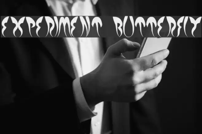 EXPERIMENT BUTTERFLY Polices examples