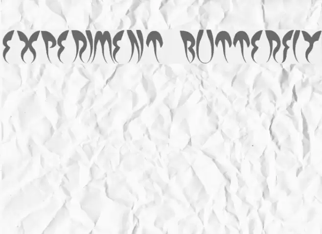 EXPERIMENT BUTTERFLY Polices examples