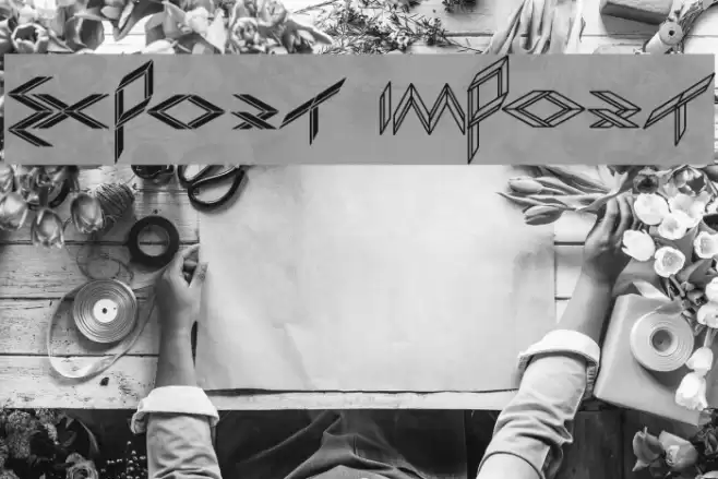 EXPORT import Font examples