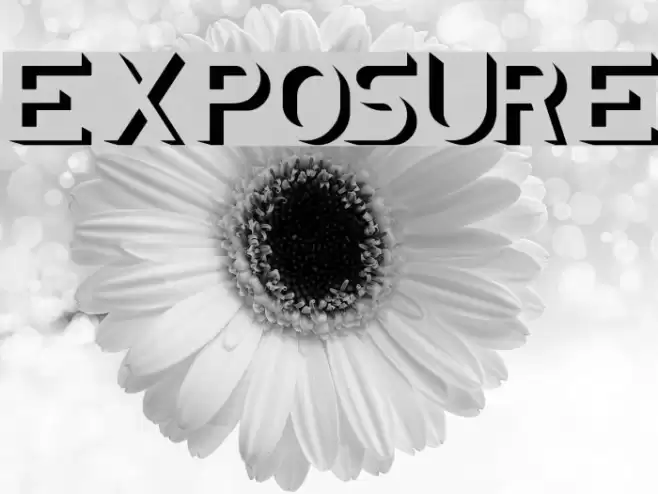 EXPOSURE Font examples