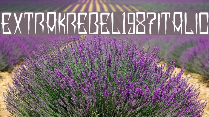 EXTRAKREBEL1987 Italic Font examples