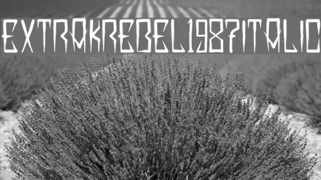 EXTRAKREBEL1987 Italic Font examples