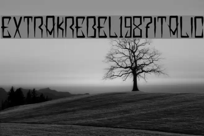 EXTRAKREBEL1987 Italic Font examples