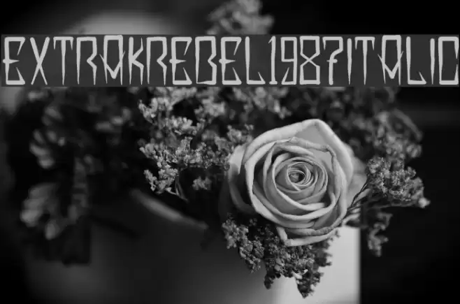 EXTRAKREBEL1987 Italic Font examples