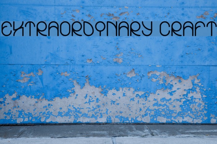 EXTRAORDINARY CRAFT Example 1