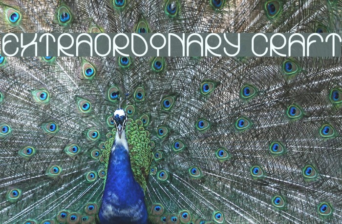 EXTRAORDINARY CRAFT Example 2