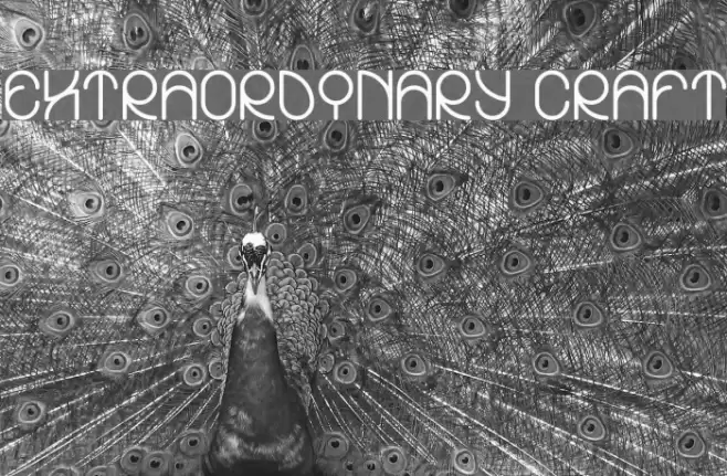 EXTRAORDINARY CRAFT Font examples