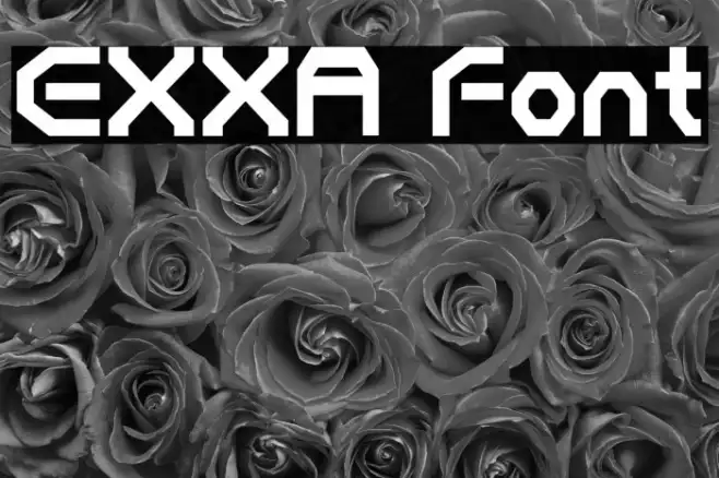 EXXA Example 2
