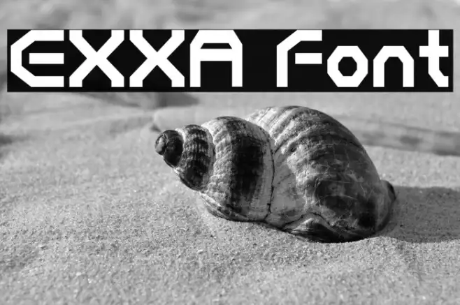 EXXA Example 3