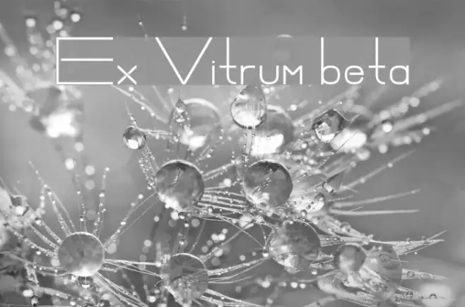 Ex Vitrum beta Example 1