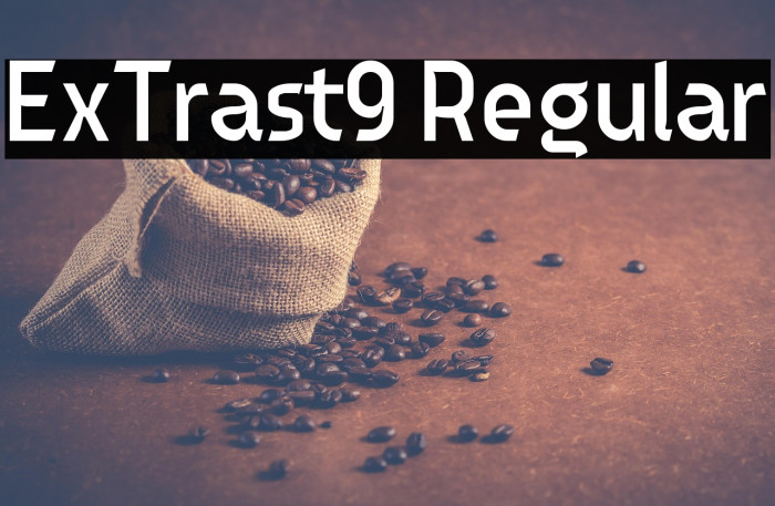 ExTrast9 Regular Example 1